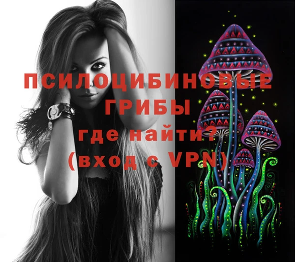 эйфоретик Костерёво