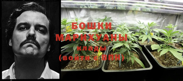 ALPHA PVP Кодинск