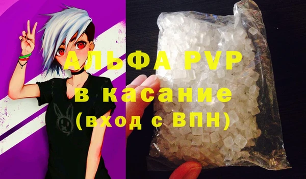 стаф Козельск